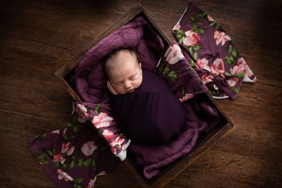 Townsville Newborn Photography